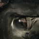 Illustration for article titled How As Above, So Below Shot A Horror Film In The Actual Paris Catacombs